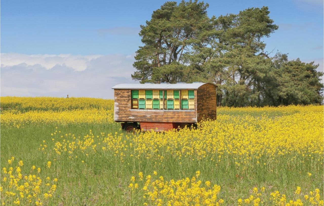 Kutzow Reetdachhaus 11 Auf Usedomヴィラ エクステリア 写真